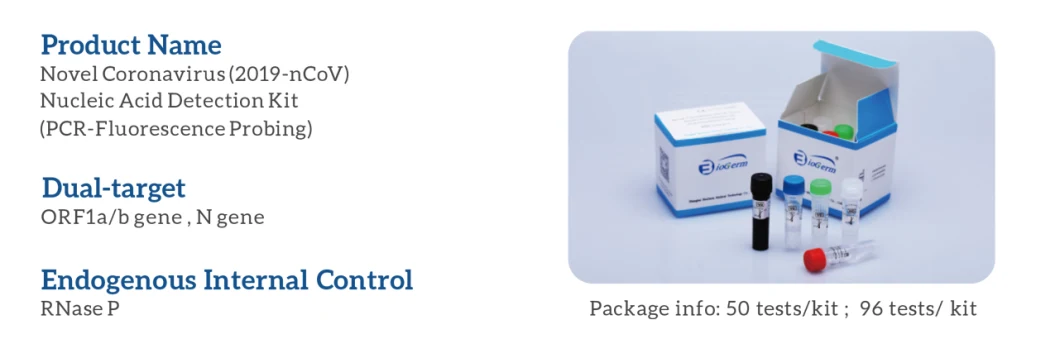 2019 Nucleic Acid Detection Kit PCR-Fluorescence Probing