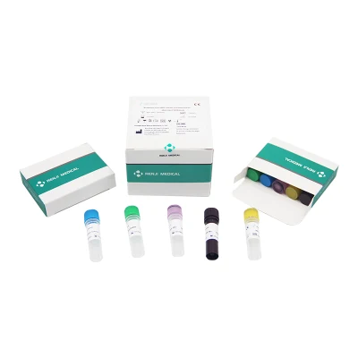 Kit per il rilevamento dell'acido nucleico del virus del vaiolo delle scimmie Renji Kit per il test PCR del vaiolo delle scimmie