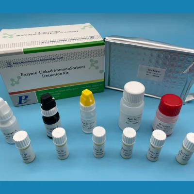 Diazepam Elisa Reagent Kit Rilevazione EIA per DNA virale e Rna