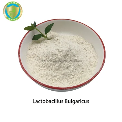 Integratore alimentare per il miglioramento dell'immunità OEM 10 bcfu/g Lactobacillus Bulgaricus Probiotics Powder